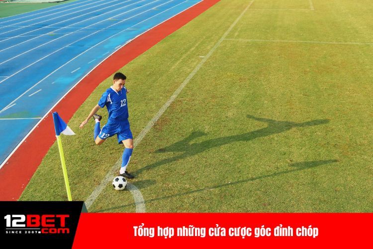 Tổng hợp những cửa cược góc đỉnh chóp