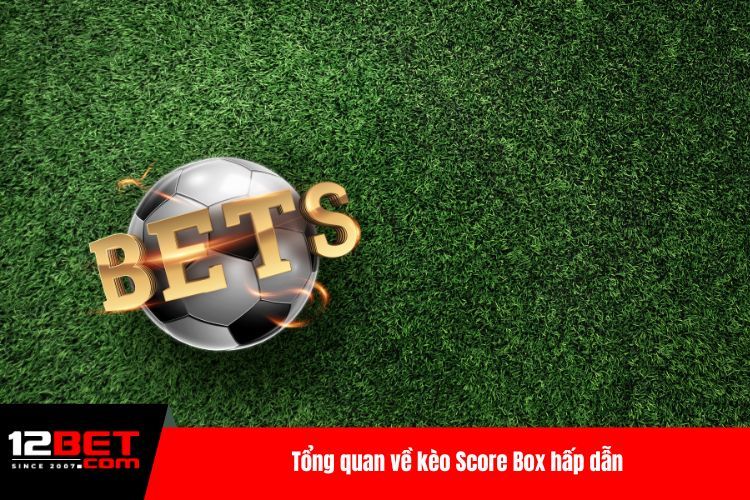 Tổng quan về kèo Score Box hấp dẫn