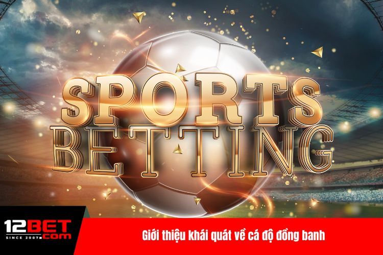 Giới thiệu khái quát về cá độ đồng banh