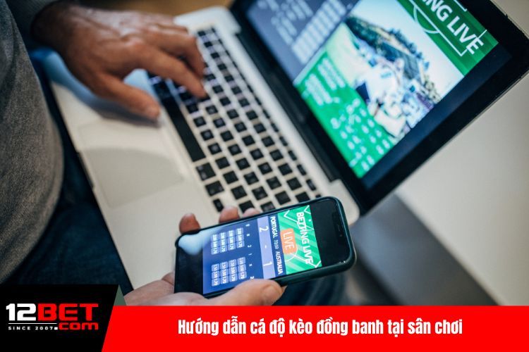 Hướng dẫn cá độ kèo đồng banh tại sân chơi